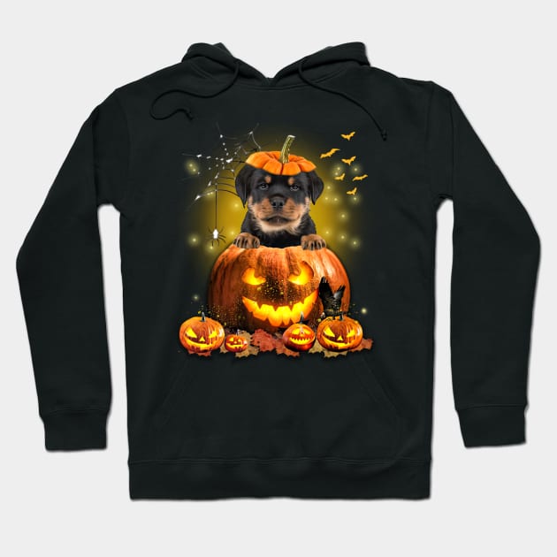 Rottweiler Spooky Halloween Pumpkin Dog Head Hoodie by Mhoon 